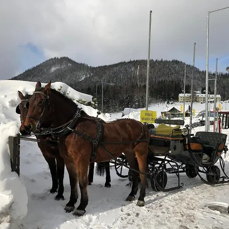 35m2 Cosy In Alter Am Apartament Semmering